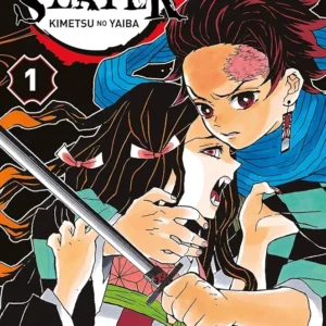 Demon Slayer - Tome 1