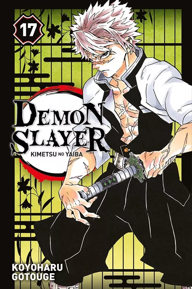 Demon slayer - Tome 17