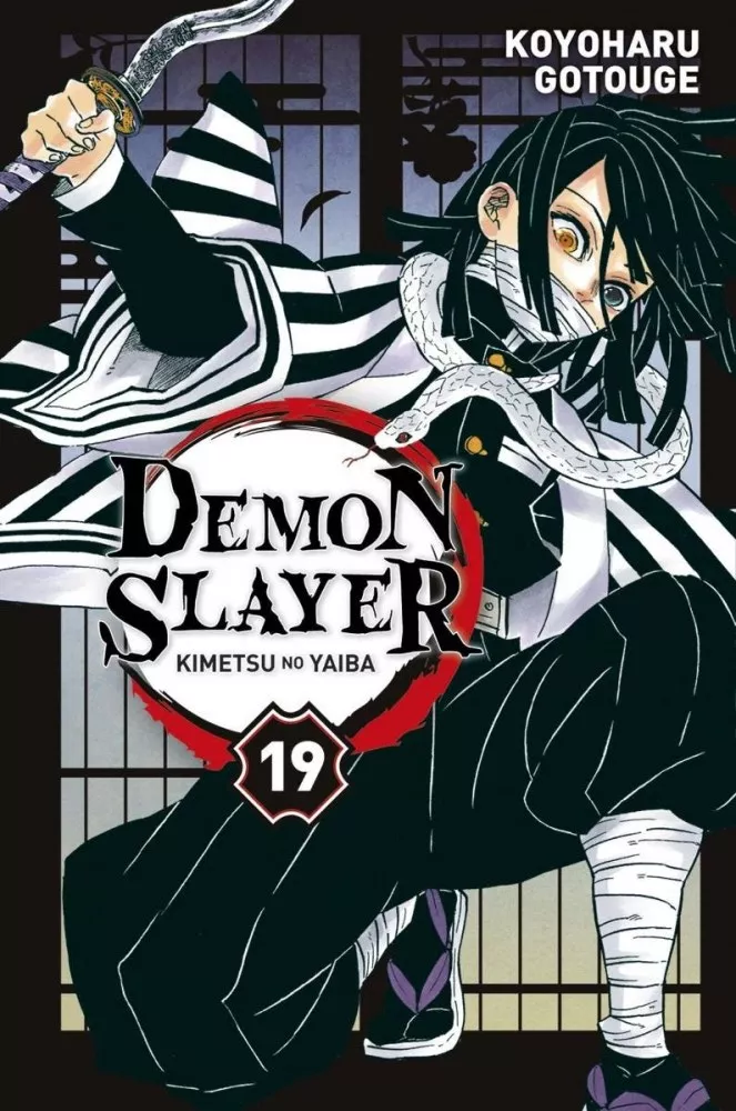 Demon slayer - Tome 19