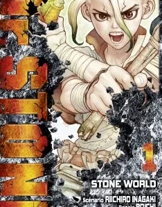 Dr stone - tome 1